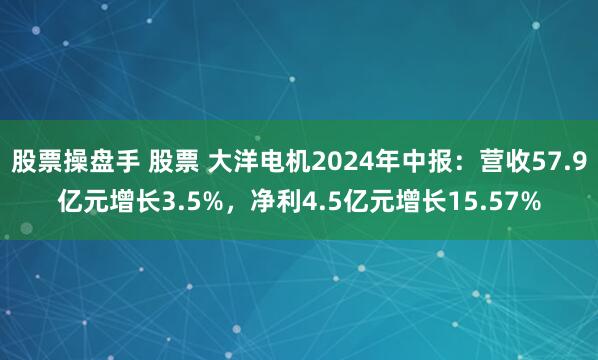 股票操盘手 股票 大洋电机2024年中报：营收57.9亿元增长3.5%，净利4.5亿元增长15.57%