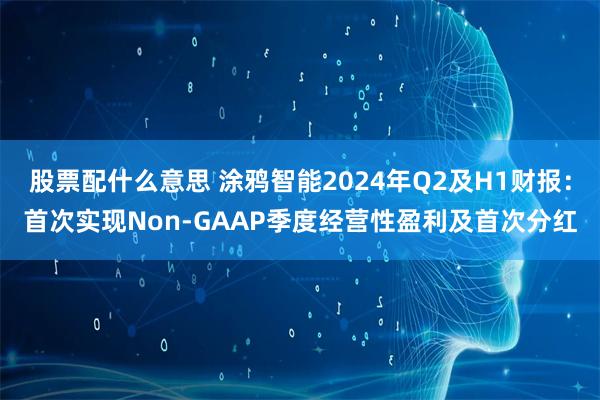 股票配什么意思 涂鸦智能2024年Q2及H1财报：首次实现Non-GAAP季度经营性盈利及首次分红