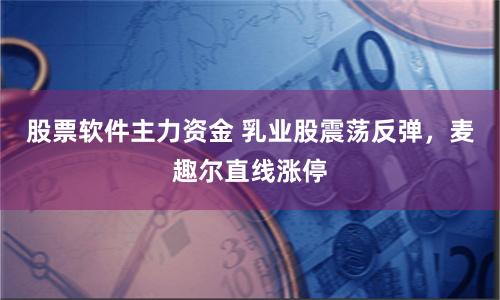 股票软件主力资金 乳业股震荡反弹，麦趣尔直线涨停
