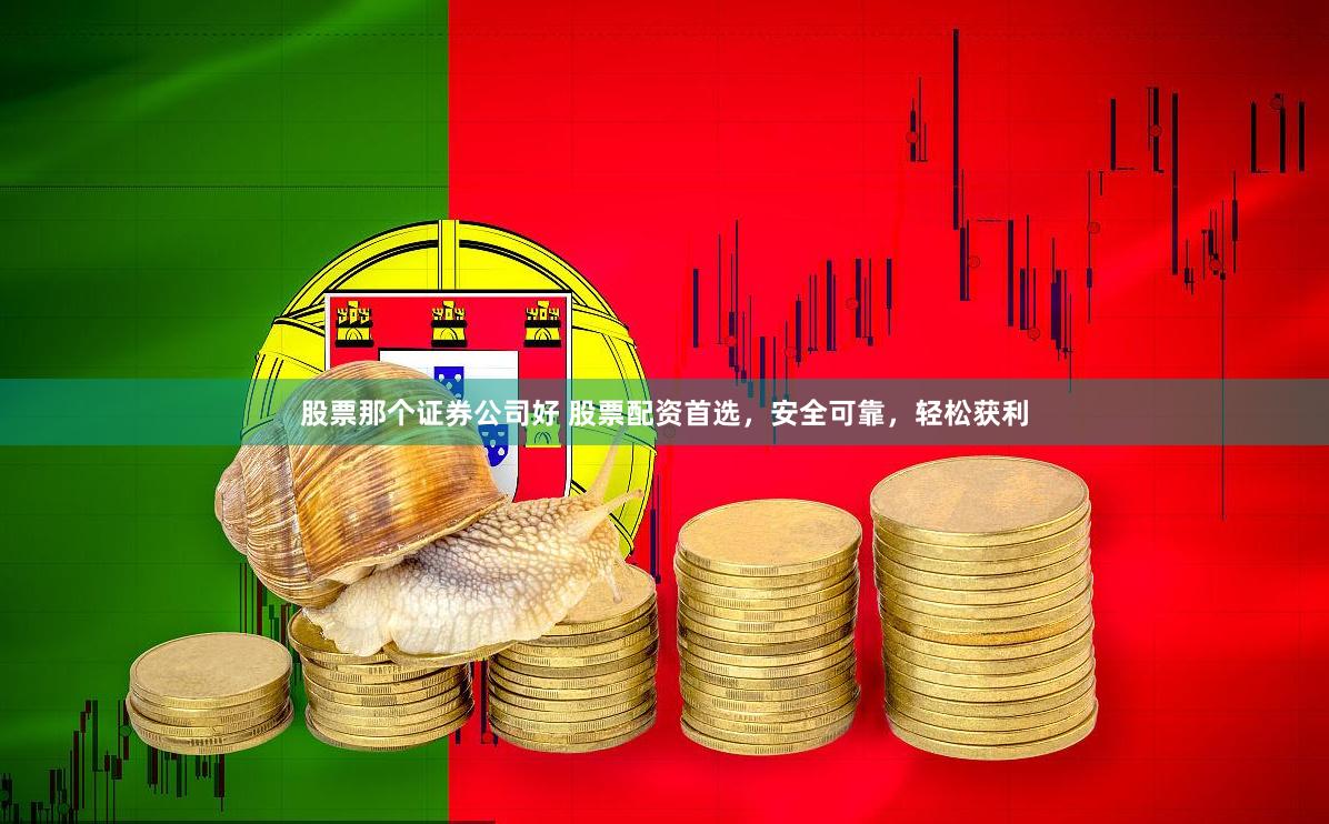 股票那个证券公司好 股票配资首选，安全可靠，轻松获利